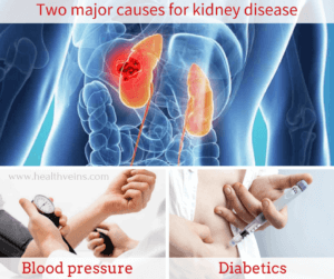 What causes kidney disease and How to prevent it